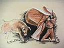 04-Torero2-25x35.jpg