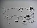 04-Torero4-23x32.jpg